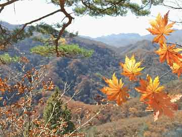 中山畫冊印刷顏色，中山畫冊印刷顏色有哪些