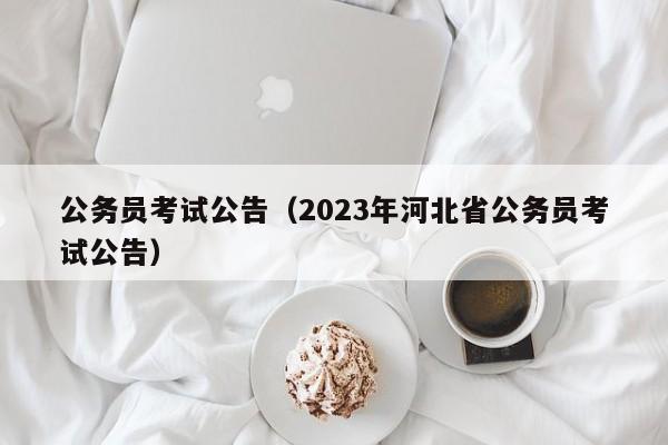 公務(wù)員考試公告（2023年河北省公務(wù)員考試公告）