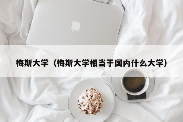 梅斯大學（梅斯大學相當于國內什么大學）