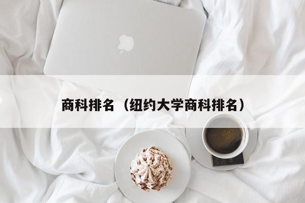 商科排名（紐約大學商科排名）