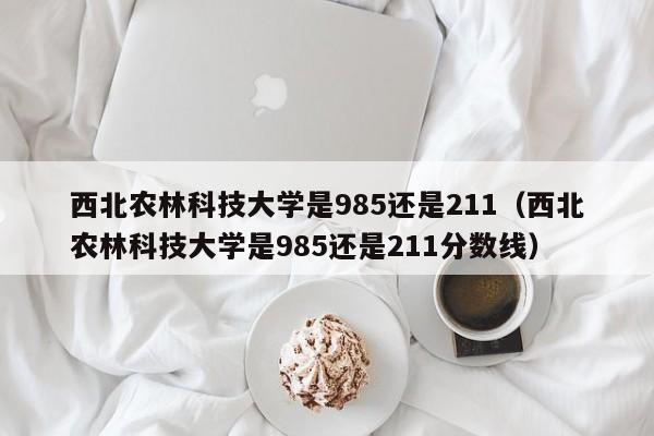 西北農林科技大學是985還是211（西北農林科技大學是985還是211分數線）