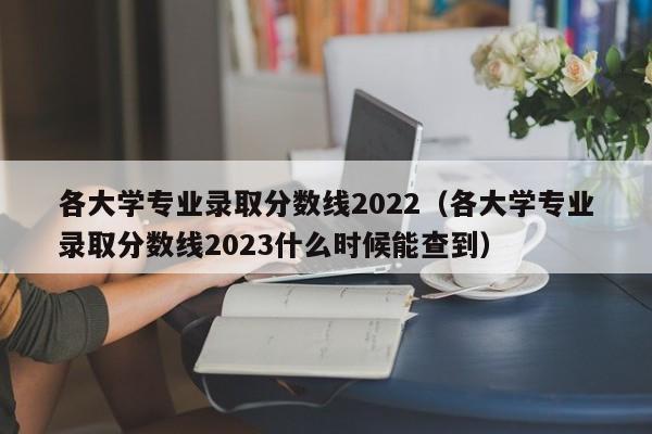 各大學專業錄取分數線2022（各大學專業錄取分數線2023什么時候能查到）